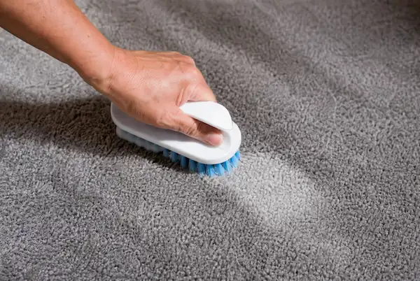 Hand scrubbing a grey carpet with a brush during professional carpet cleaning in Blackpool