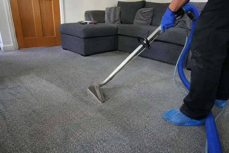 Professional carpet cleaner deep cleaning a grey living room carpet with a carpet extraction machine